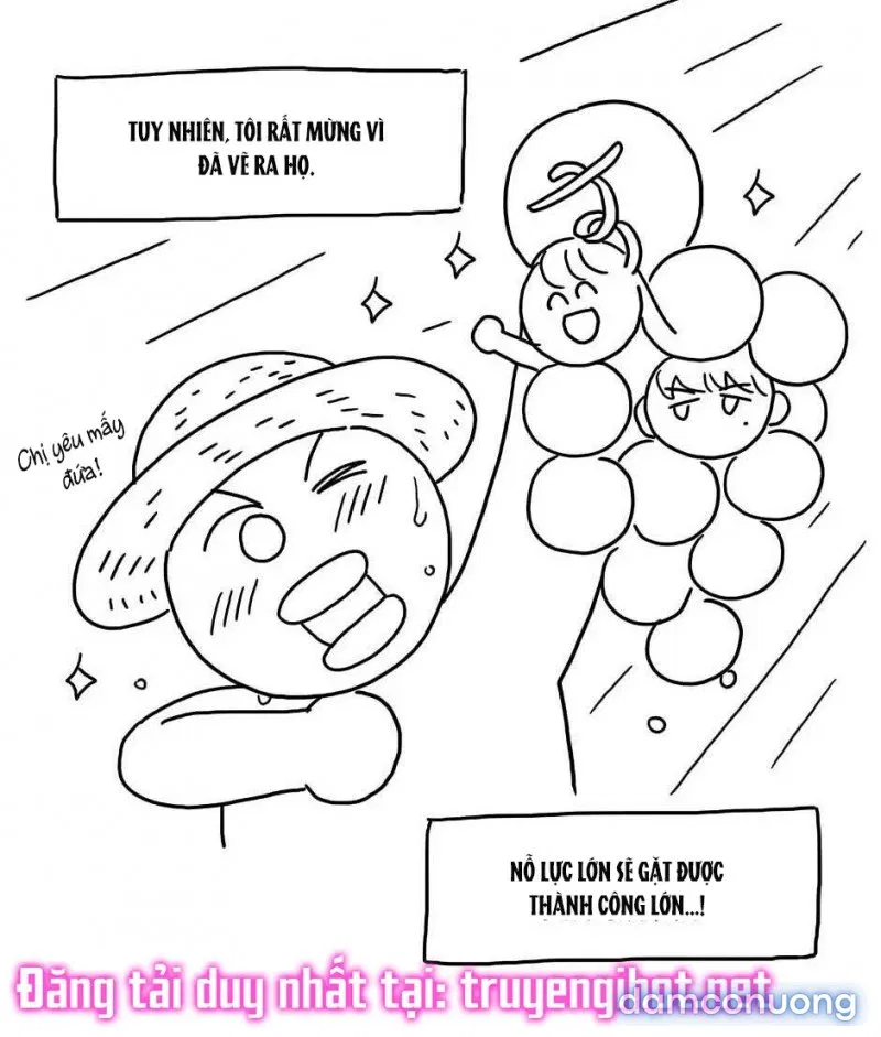 Toy Complex 