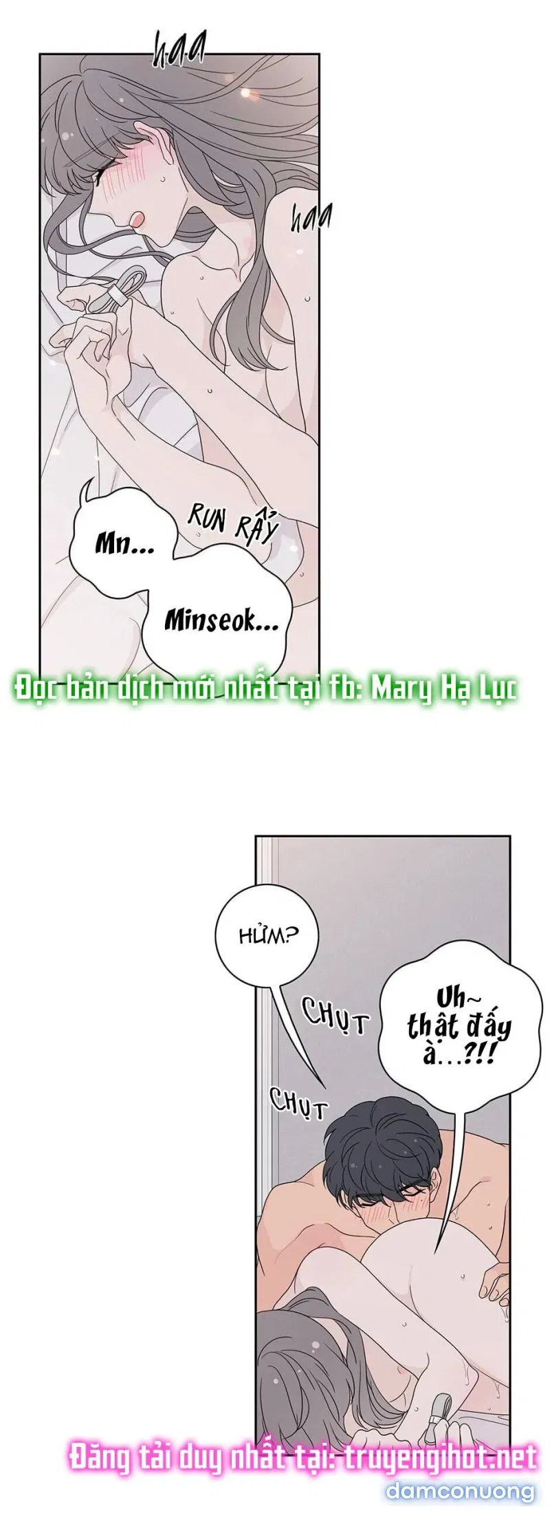 Toy Complex 