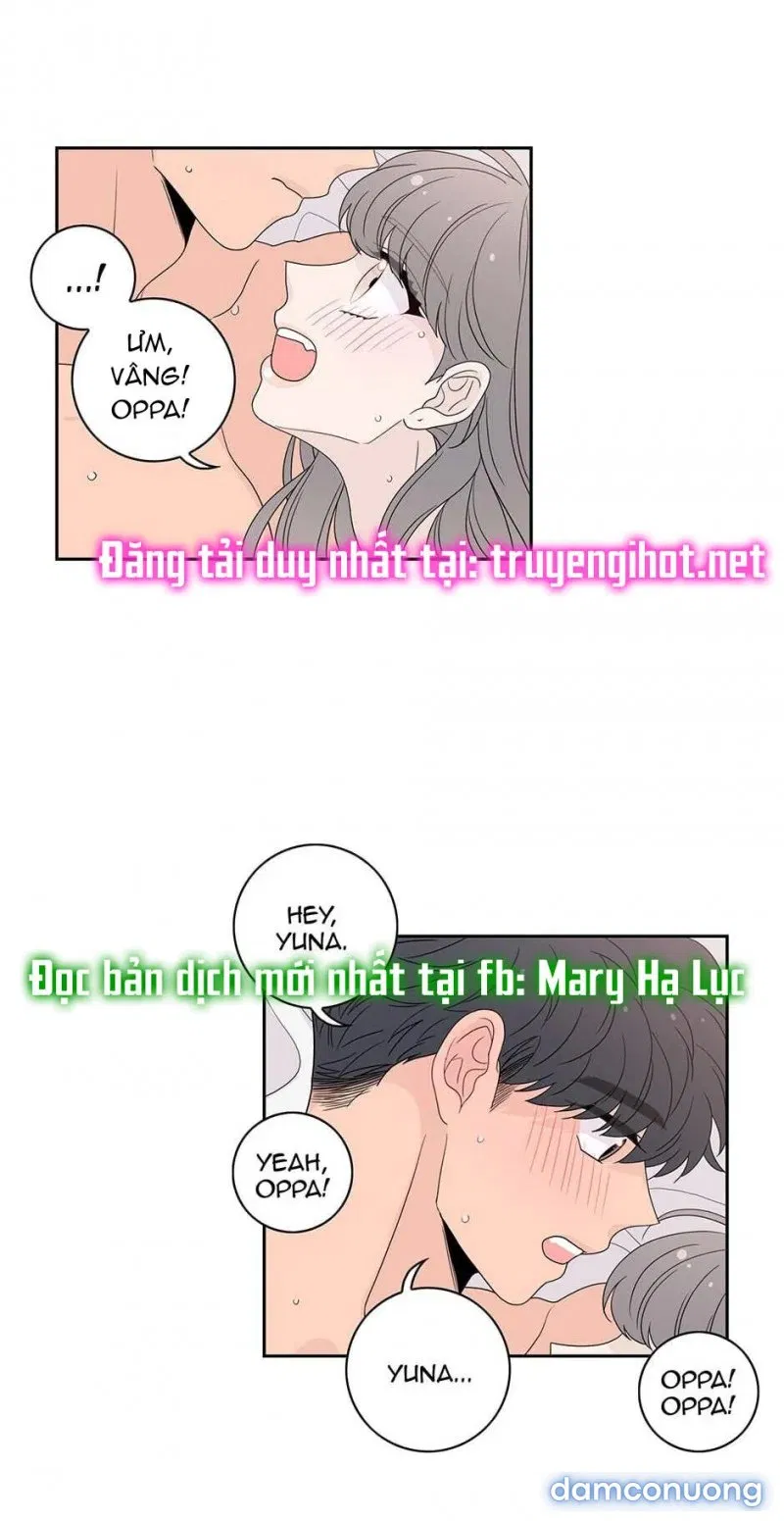 Toy Complex 