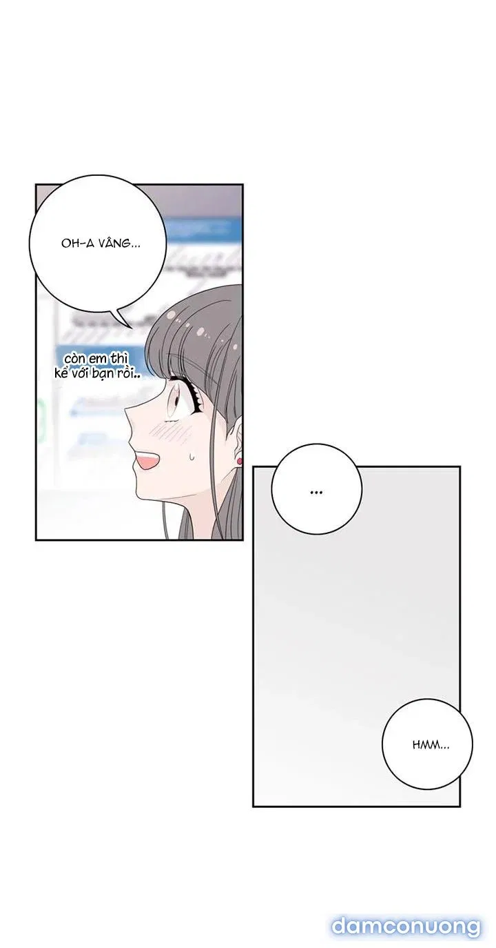 Toy Complex 