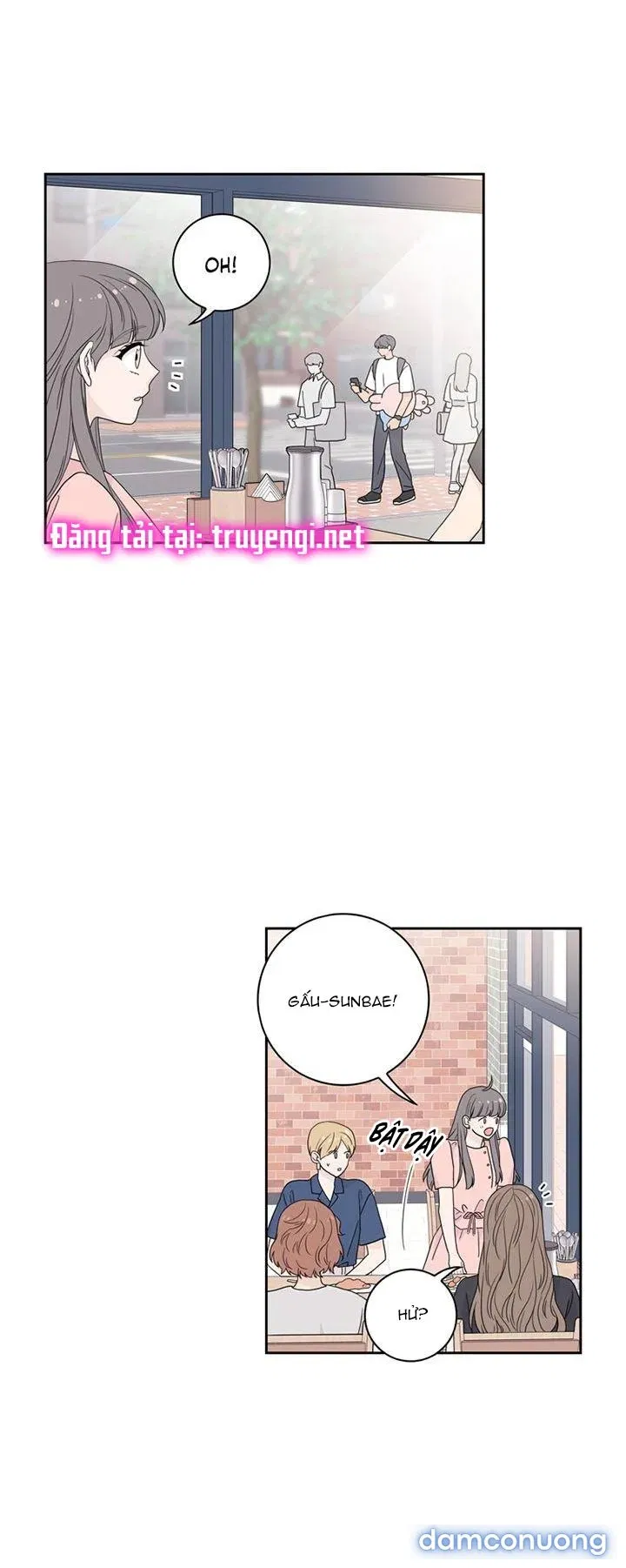 Toy Complex 