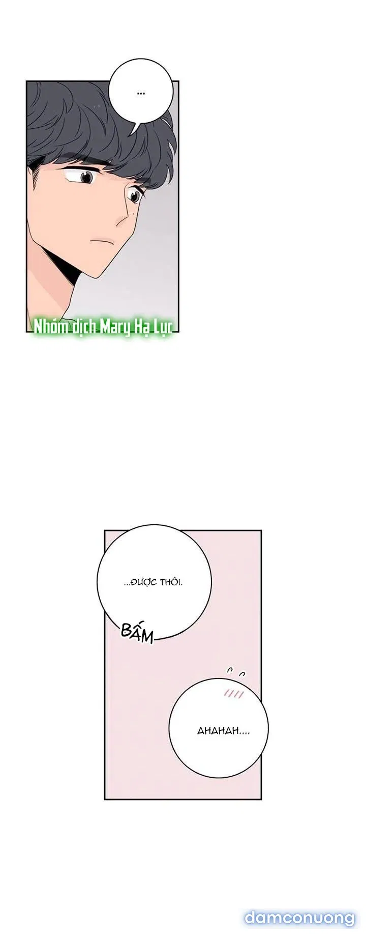 Toy Complex 
