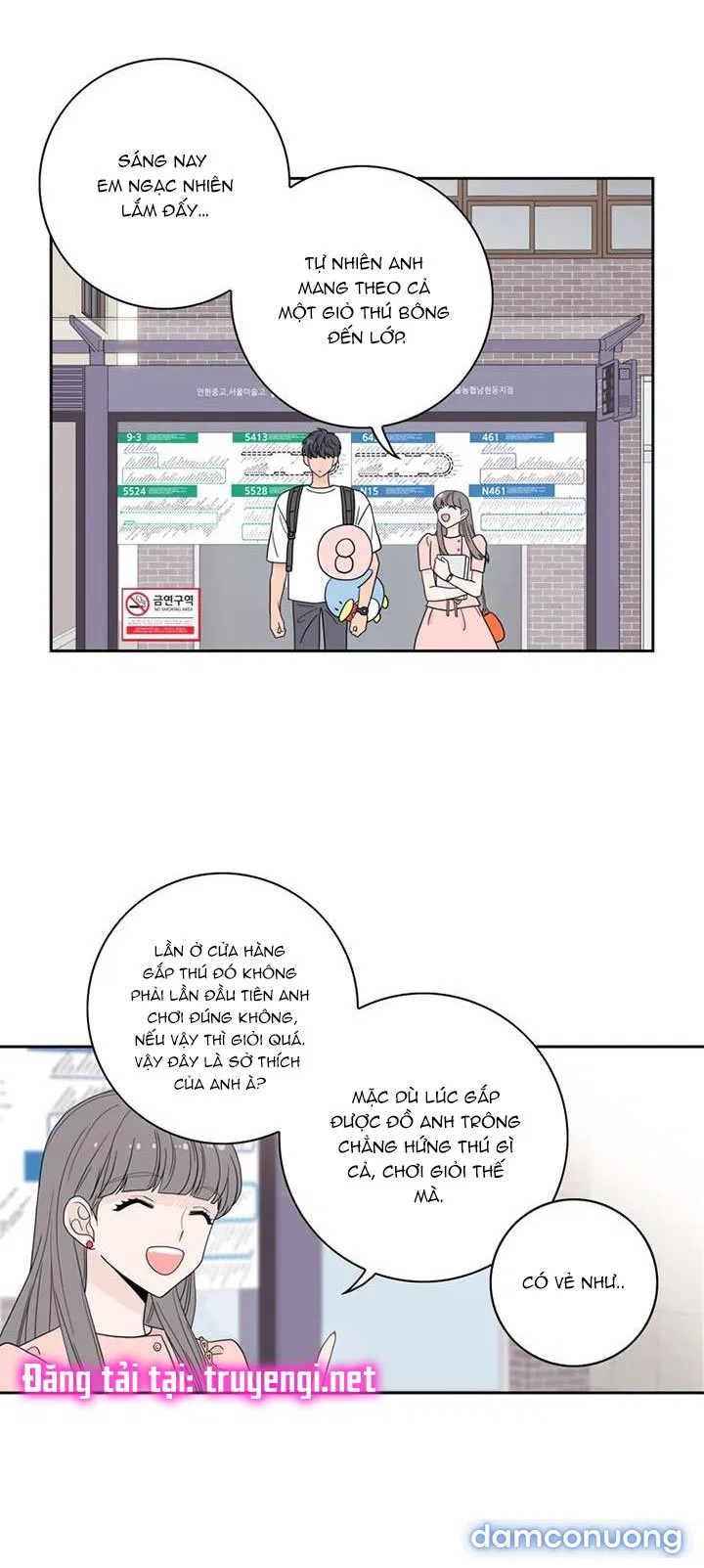 Toy Complex 