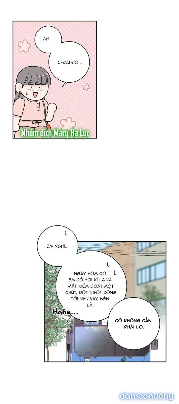 Toy Complex 