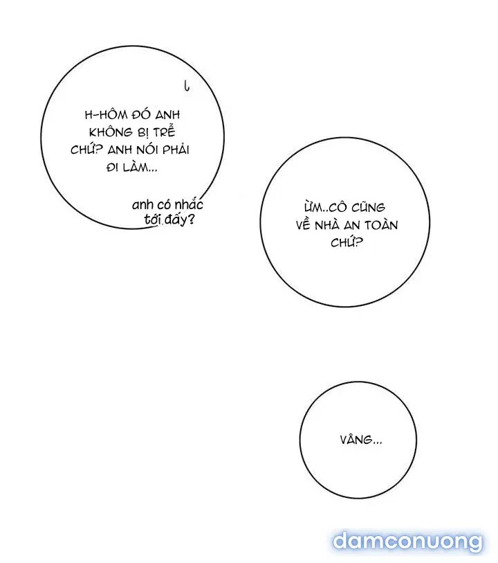 Toy Complex 