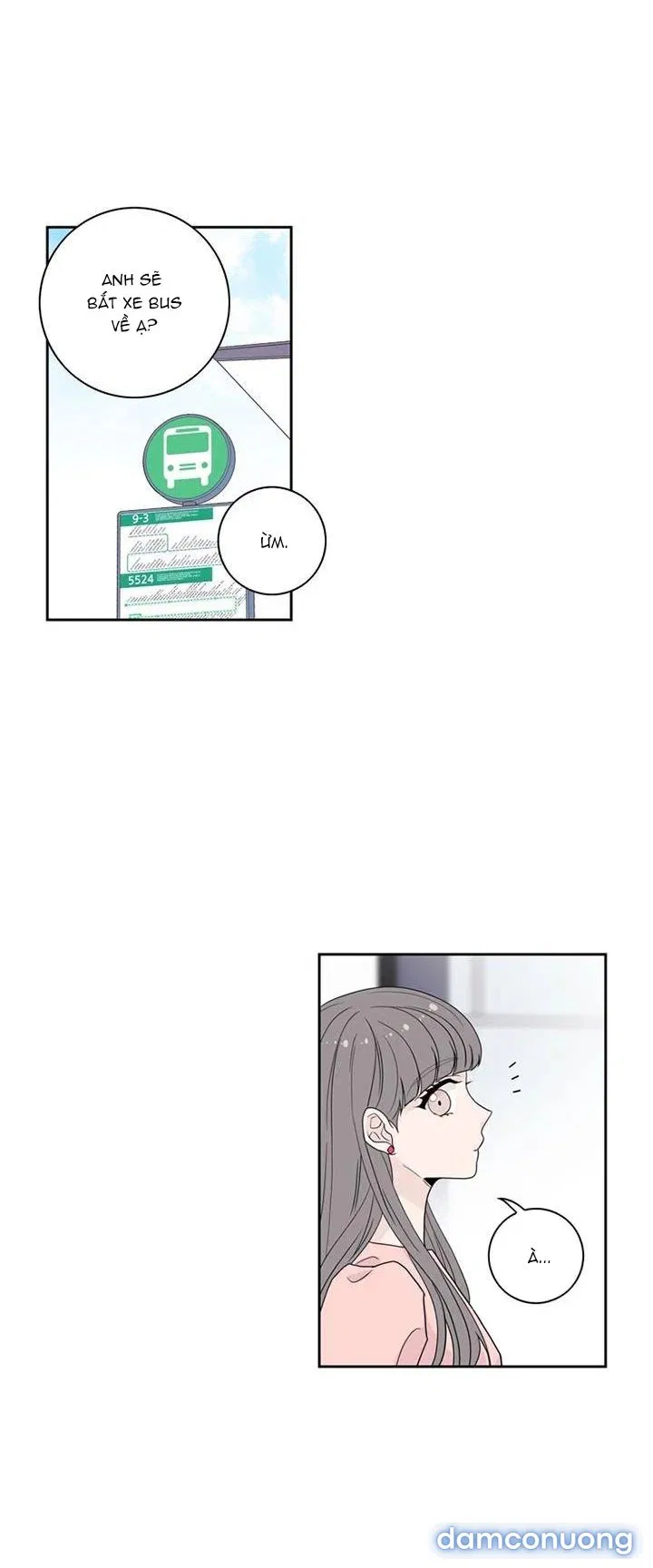 Toy Complex 