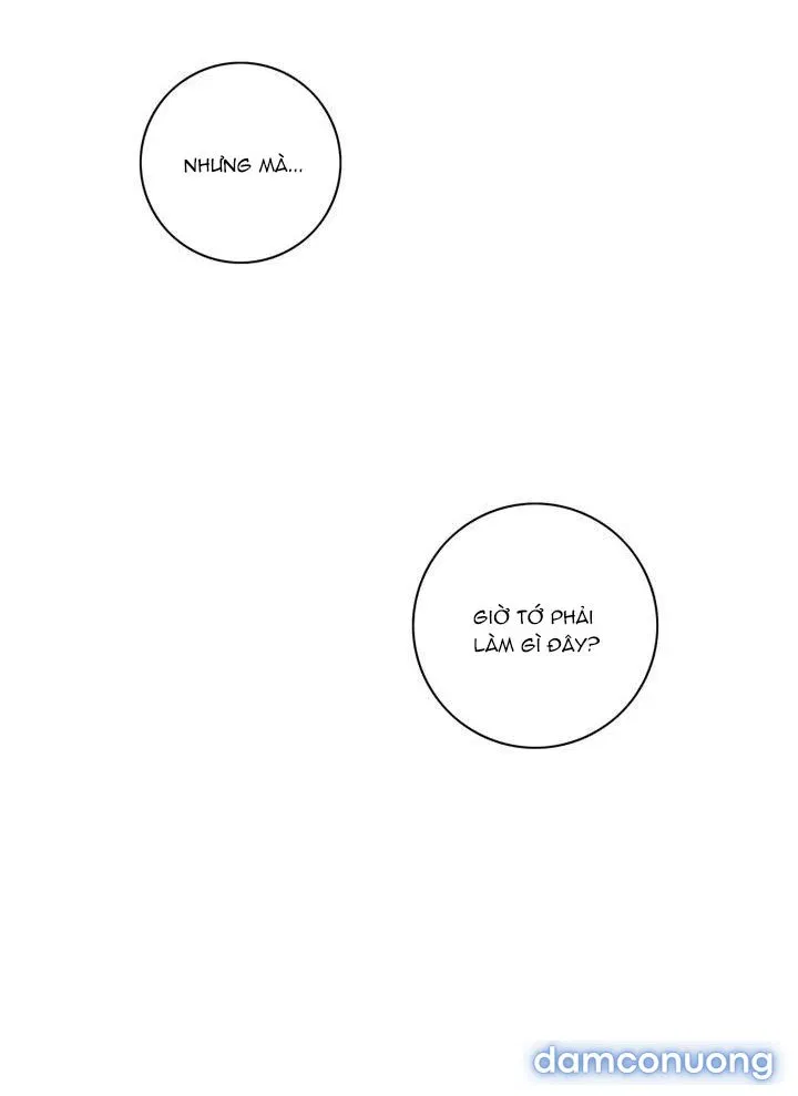 Toy Complex 