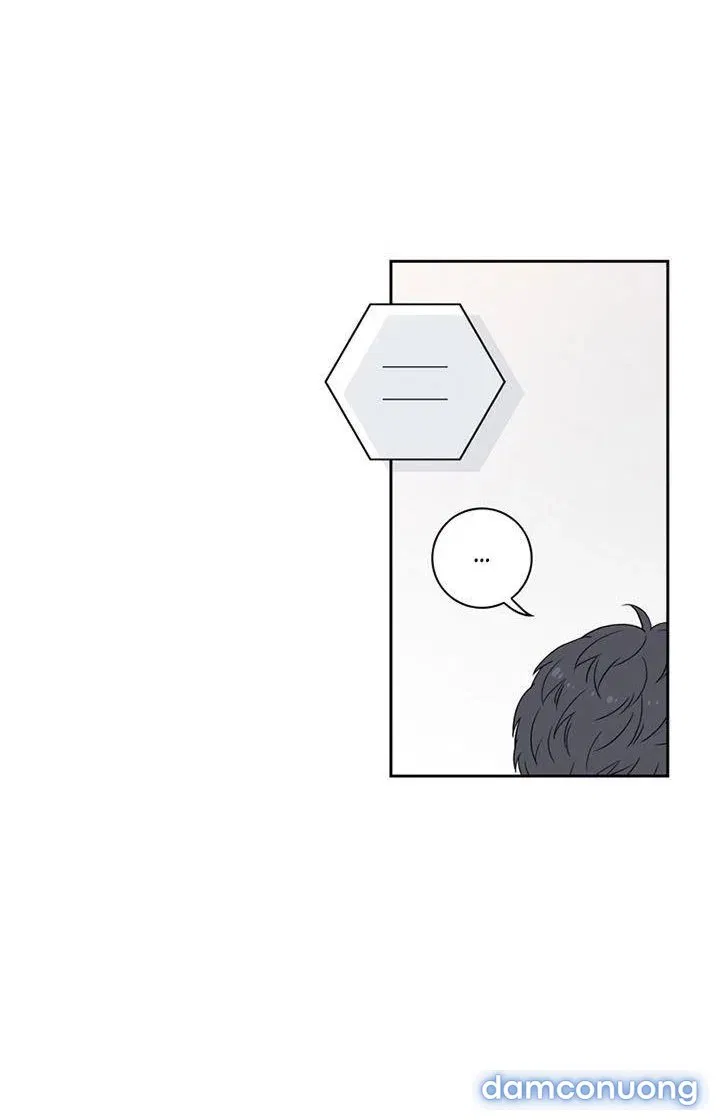 Toy Complex 