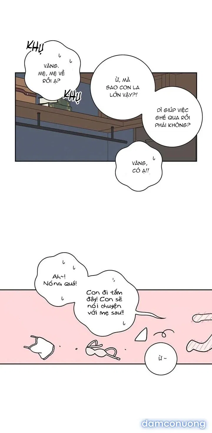 Toy Complex 
