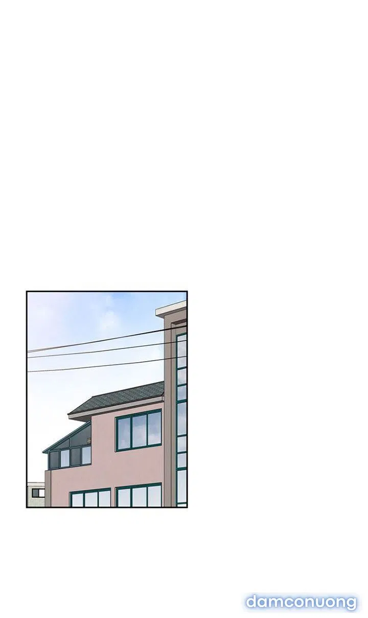 Toy Complex 