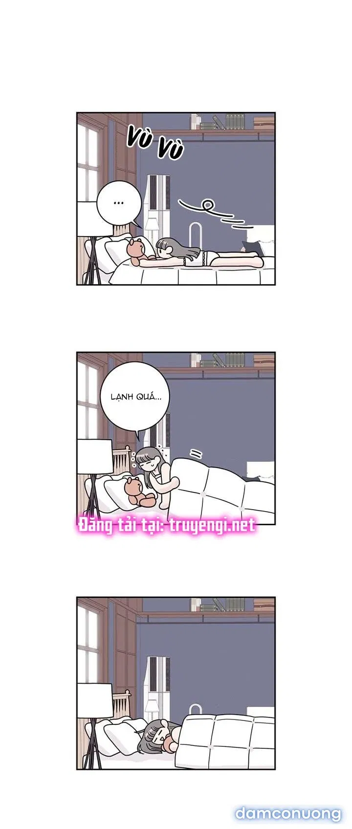 Toy Complex 