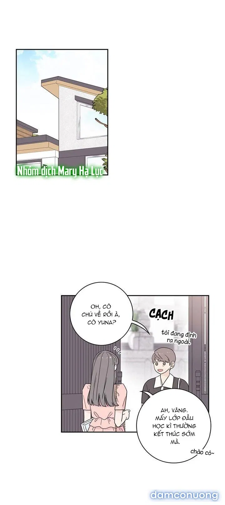 Toy Complex 