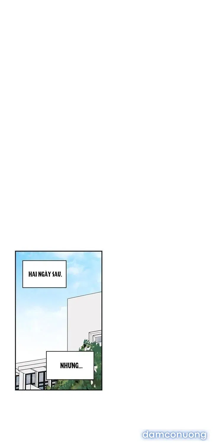 Toy Complex 