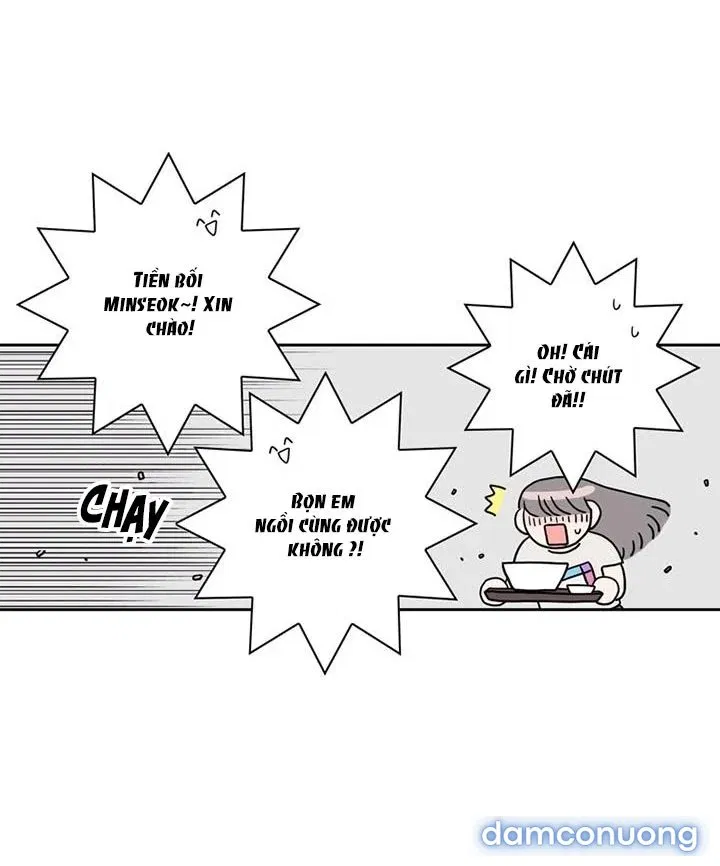 Toy Complex 