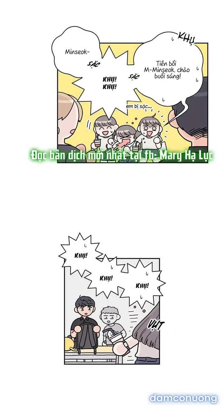 Toy Complex 
