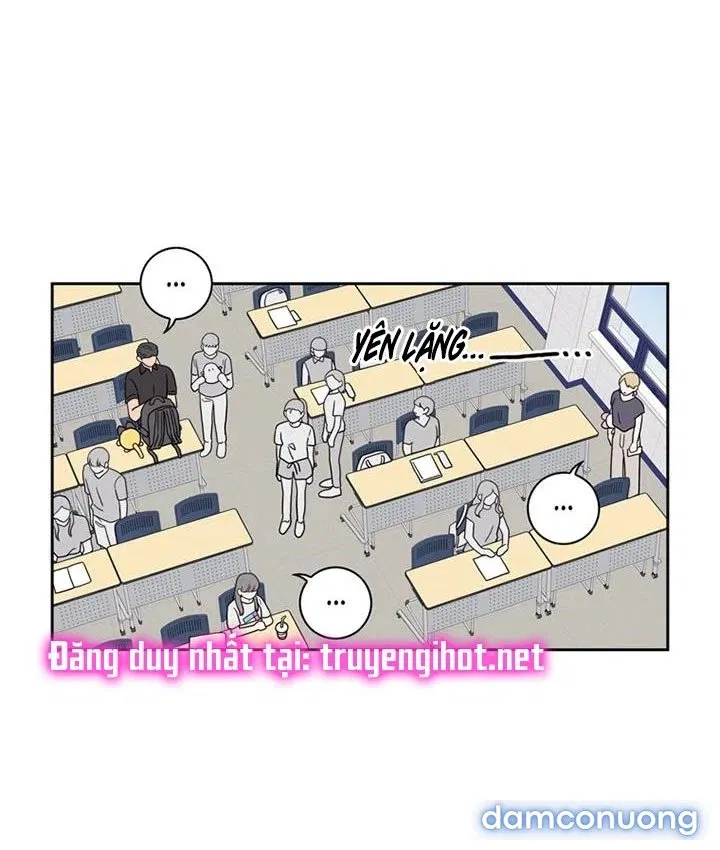 Toy Complex 