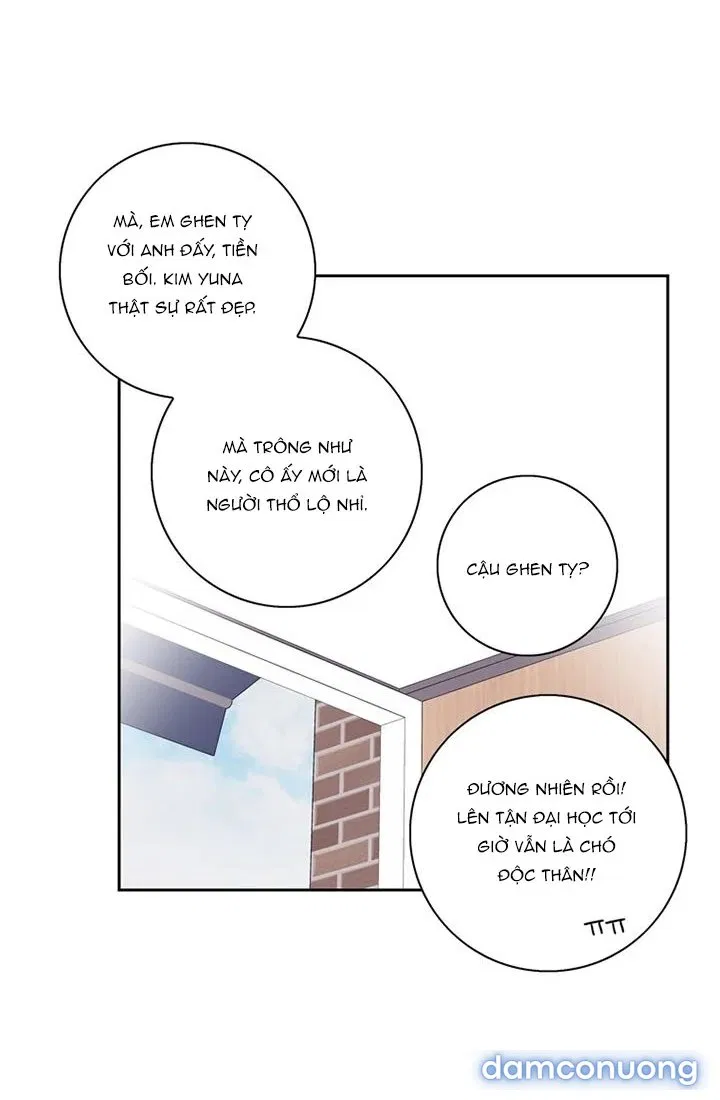 Toy Complex 
