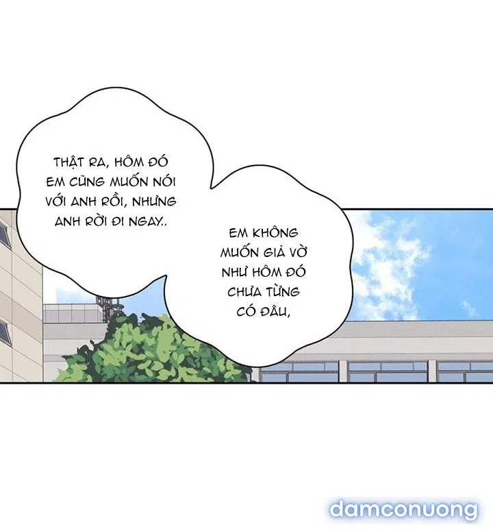 Toy Complex 