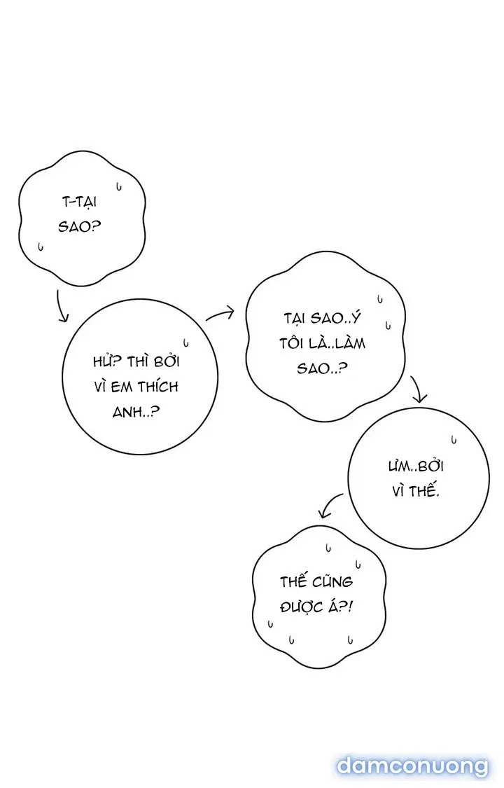 Toy Complex 