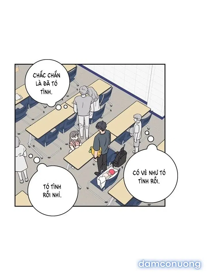 Toy Complex 