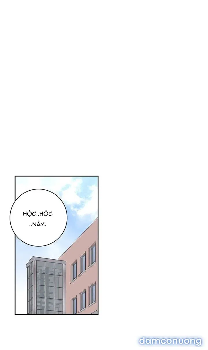 Toy Complex 