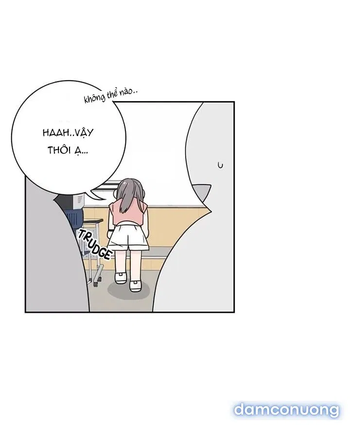 Toy Complex 