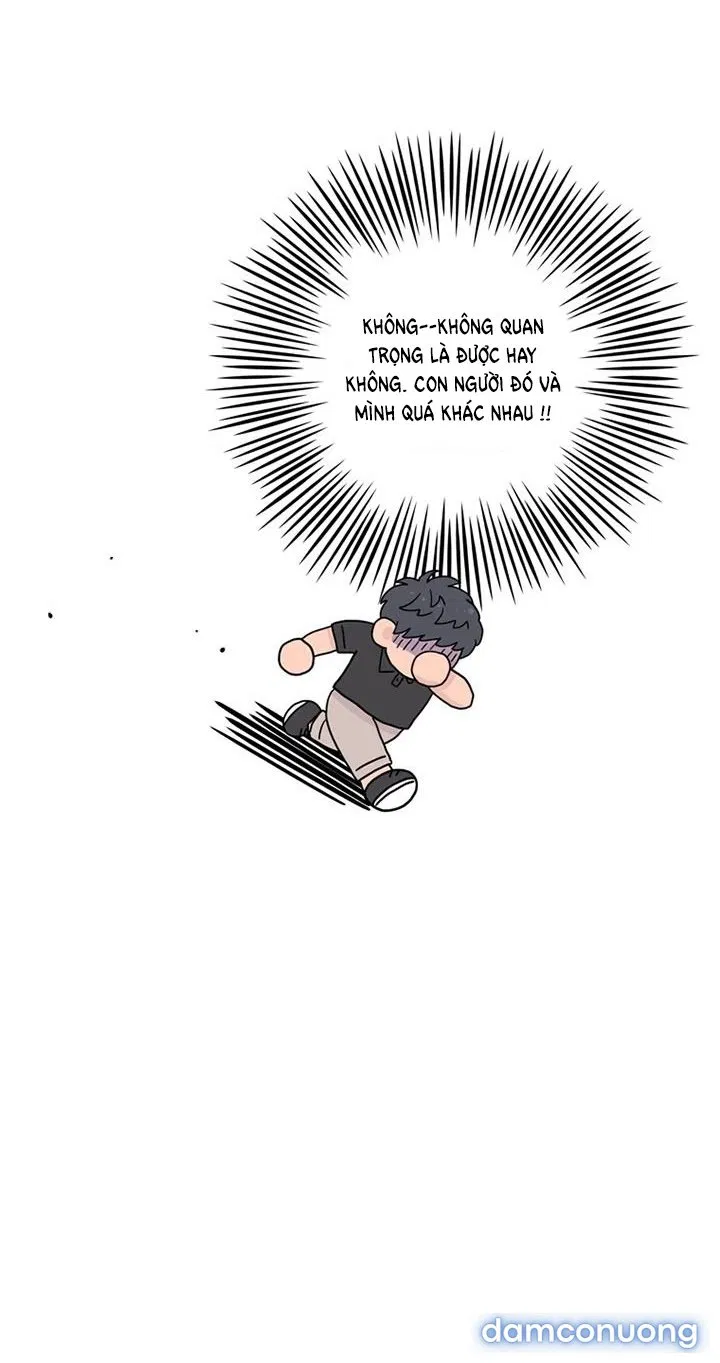 Toy Complex 