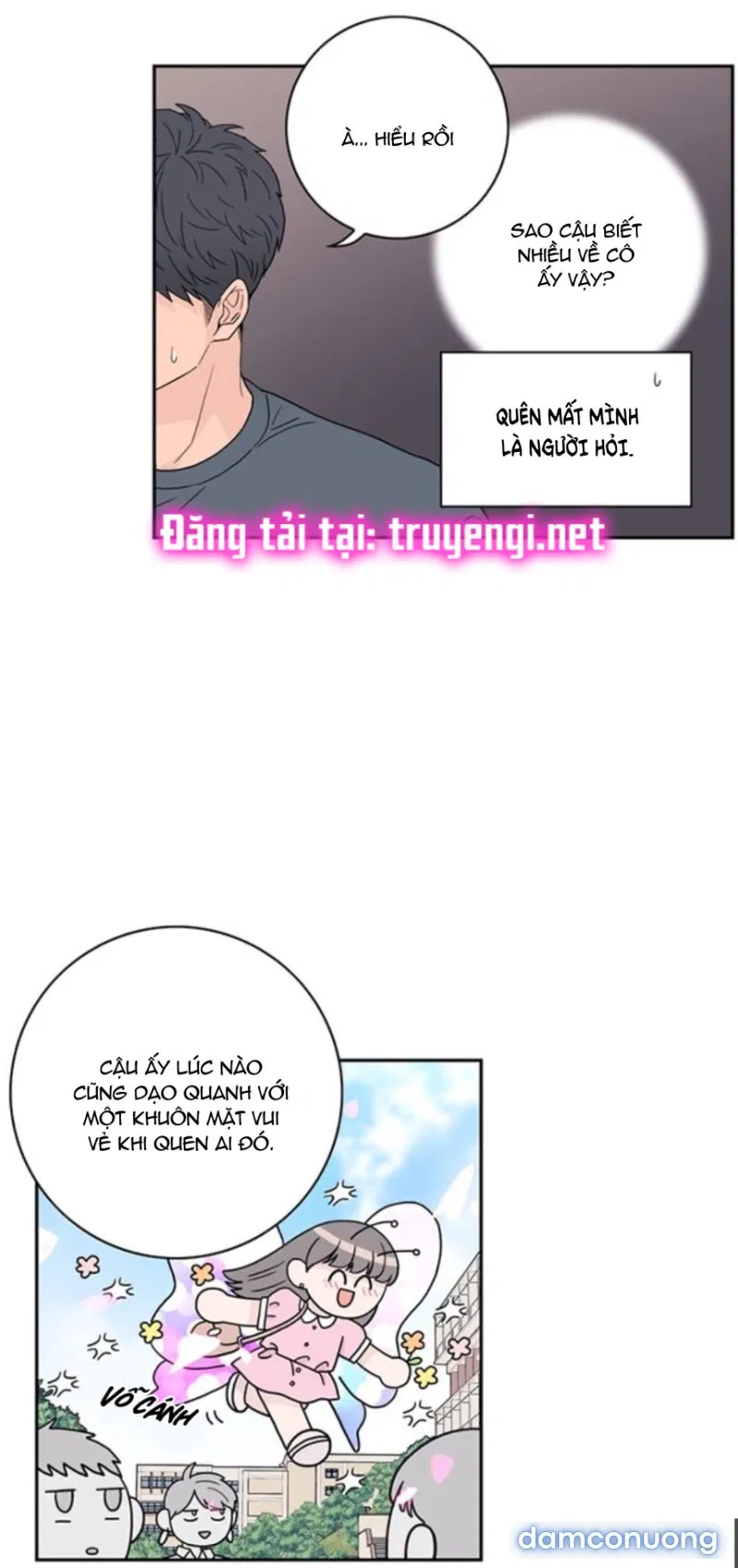 Toy Complex 