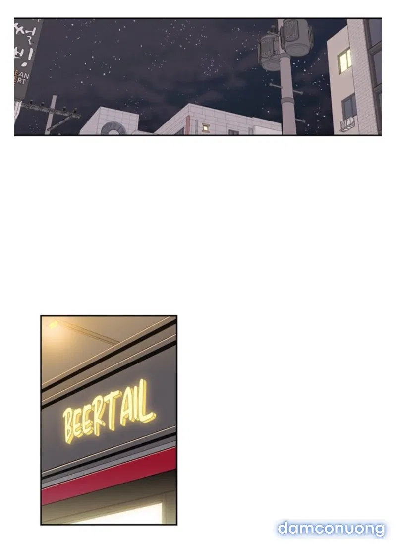 Toy Complex 