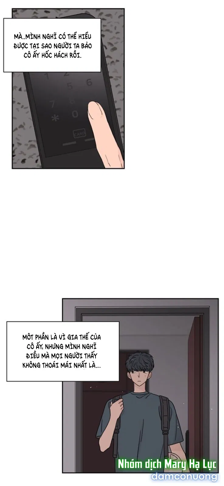Toy Complex 