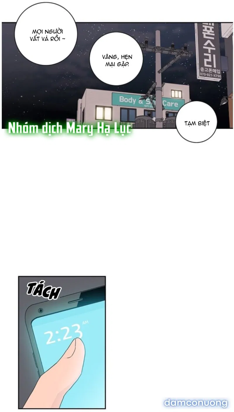 Toy Complex 