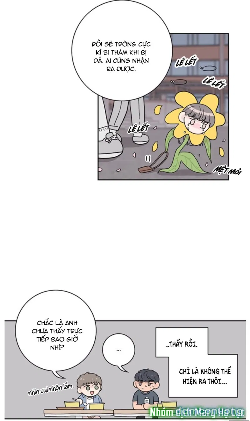 Toy Complex 