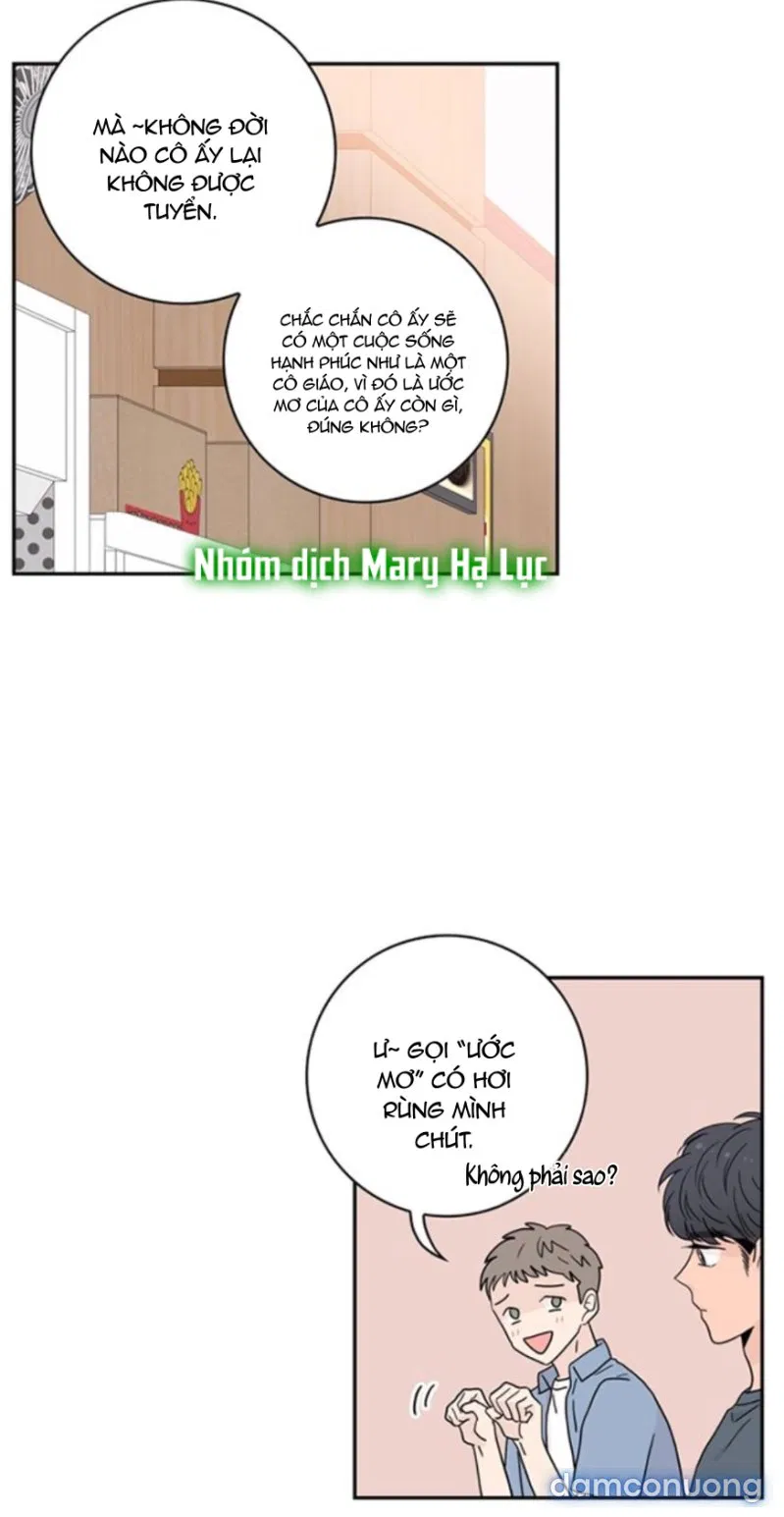 Toy Complex 