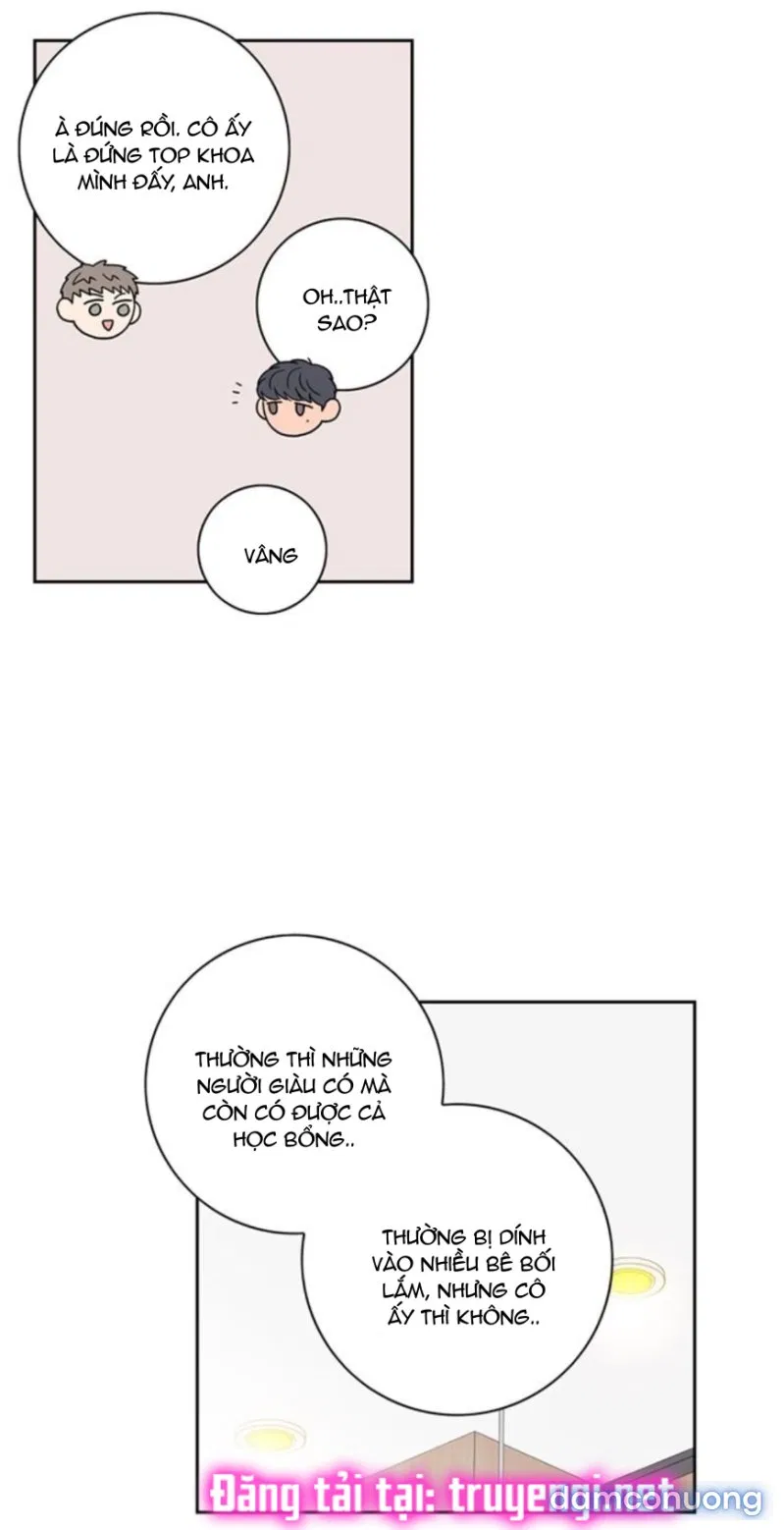Toy Complex 