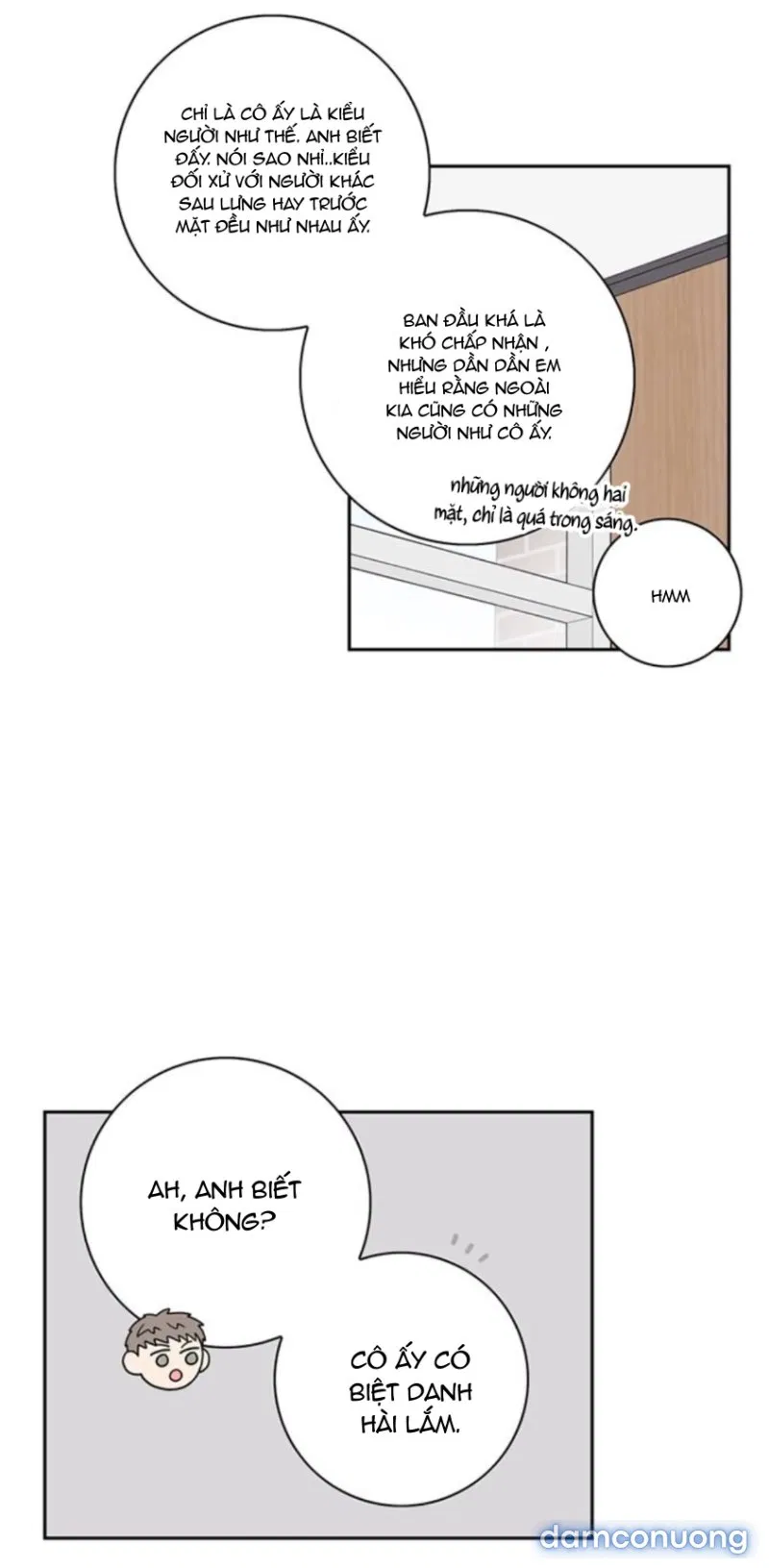 Toy Complex 