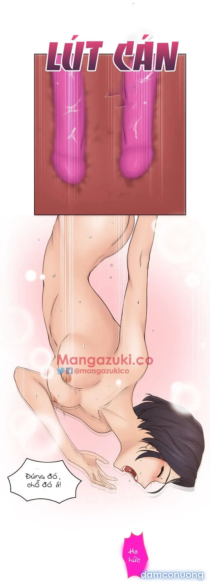 Người Yêu Và Nô Lệ 