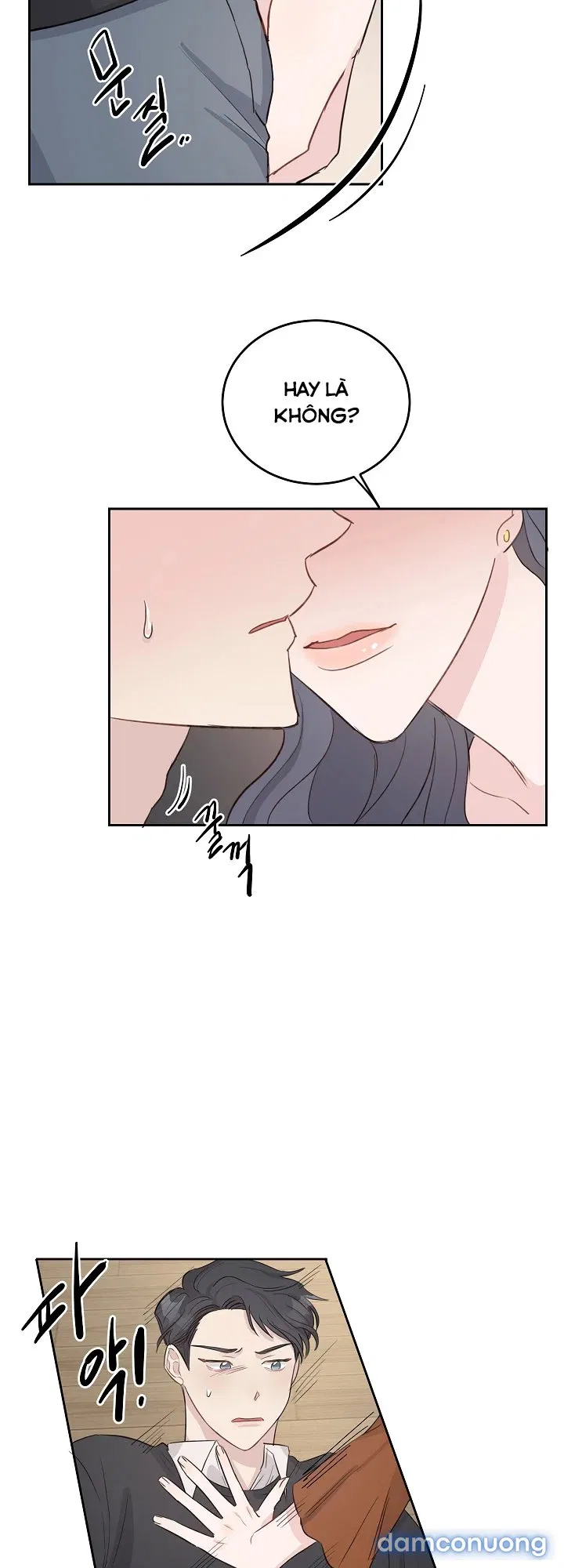 Đời Tư Bí Mật Của Quý Phu Nhân 