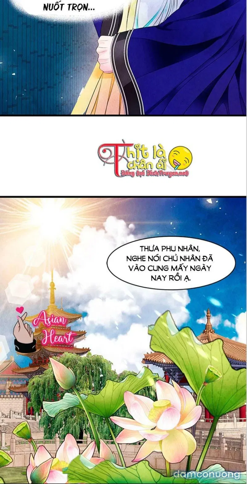 Đêm Thác Loạn (Đêm Dục Vọng) 