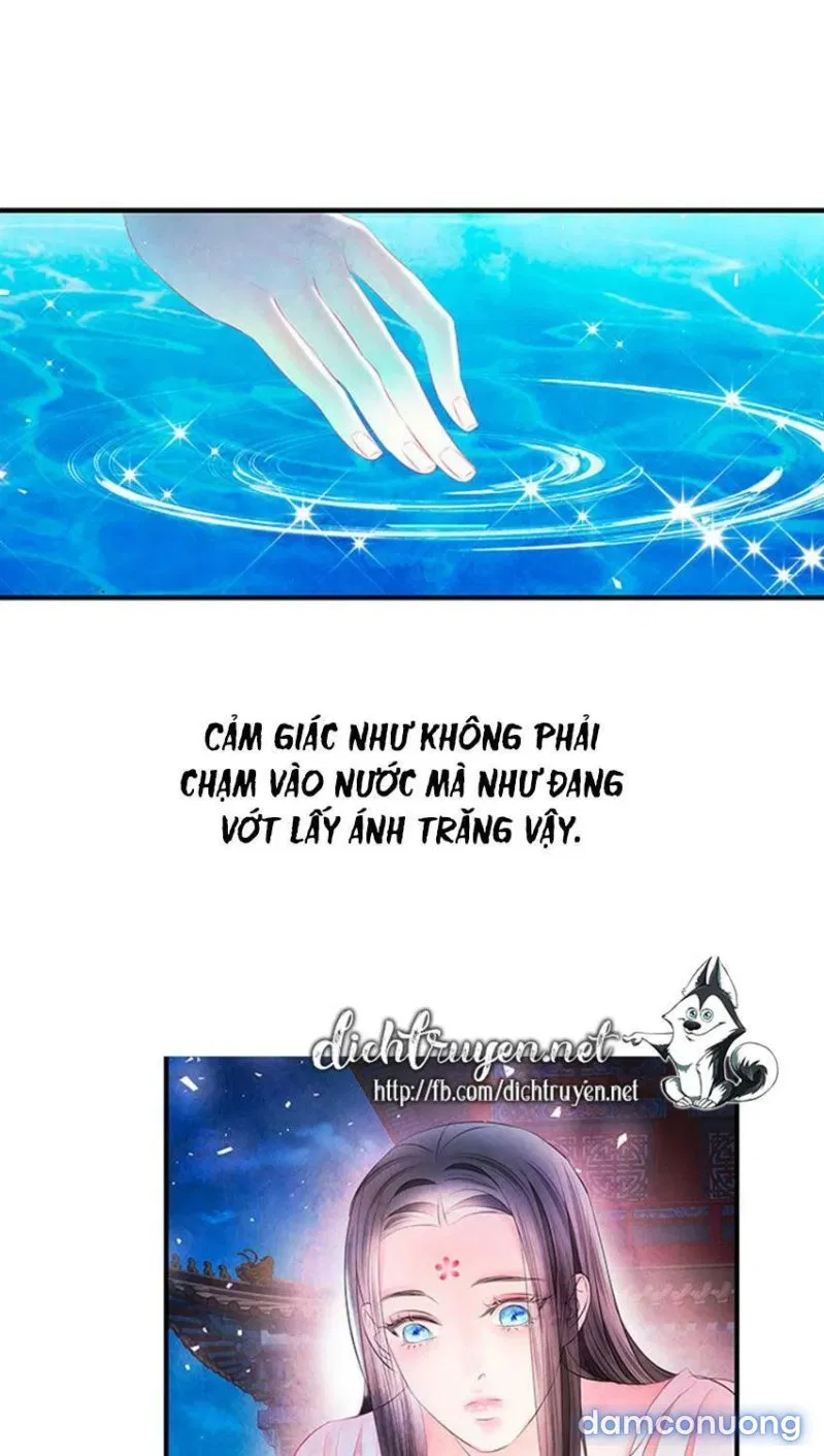 Đêm Thác Loạn (Đêm Dục Vọng) 
