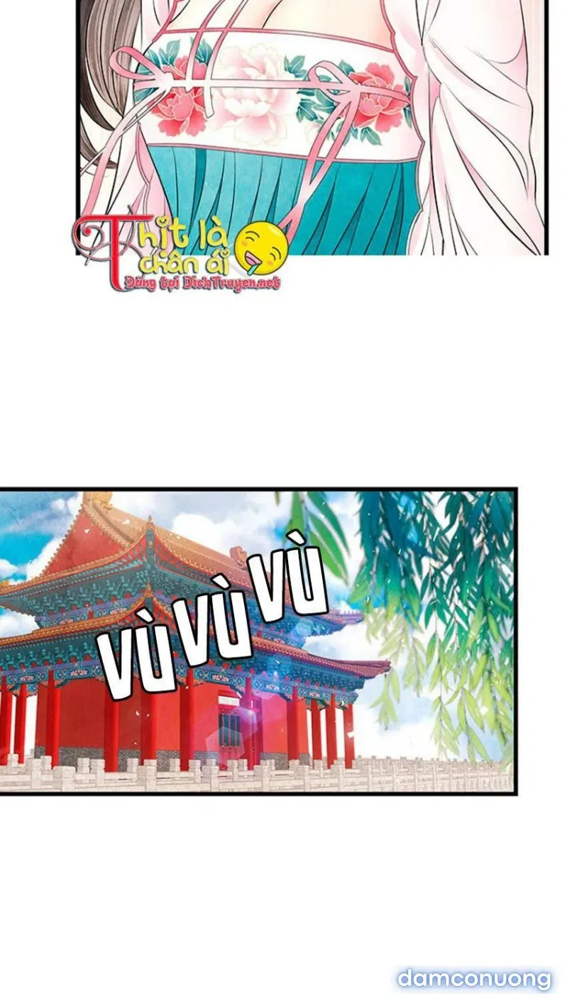 Đêm Thác Loạn (Đêm Dục Vọng) 