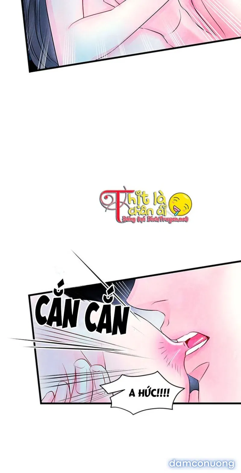Đêm Thác Loạn (Đêm Dục Vọng) 