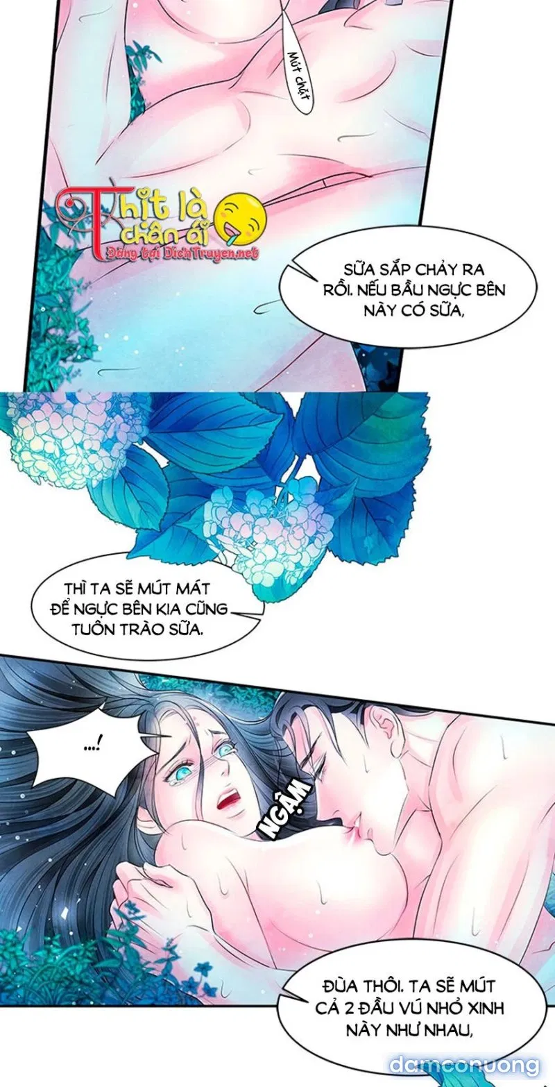 Đêm Thác Loạn (Đêm Dục Vọng) 