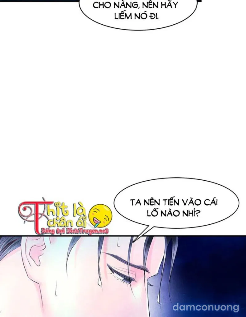 Đêm Thác Loạn (Đêm Dục Vọng) 