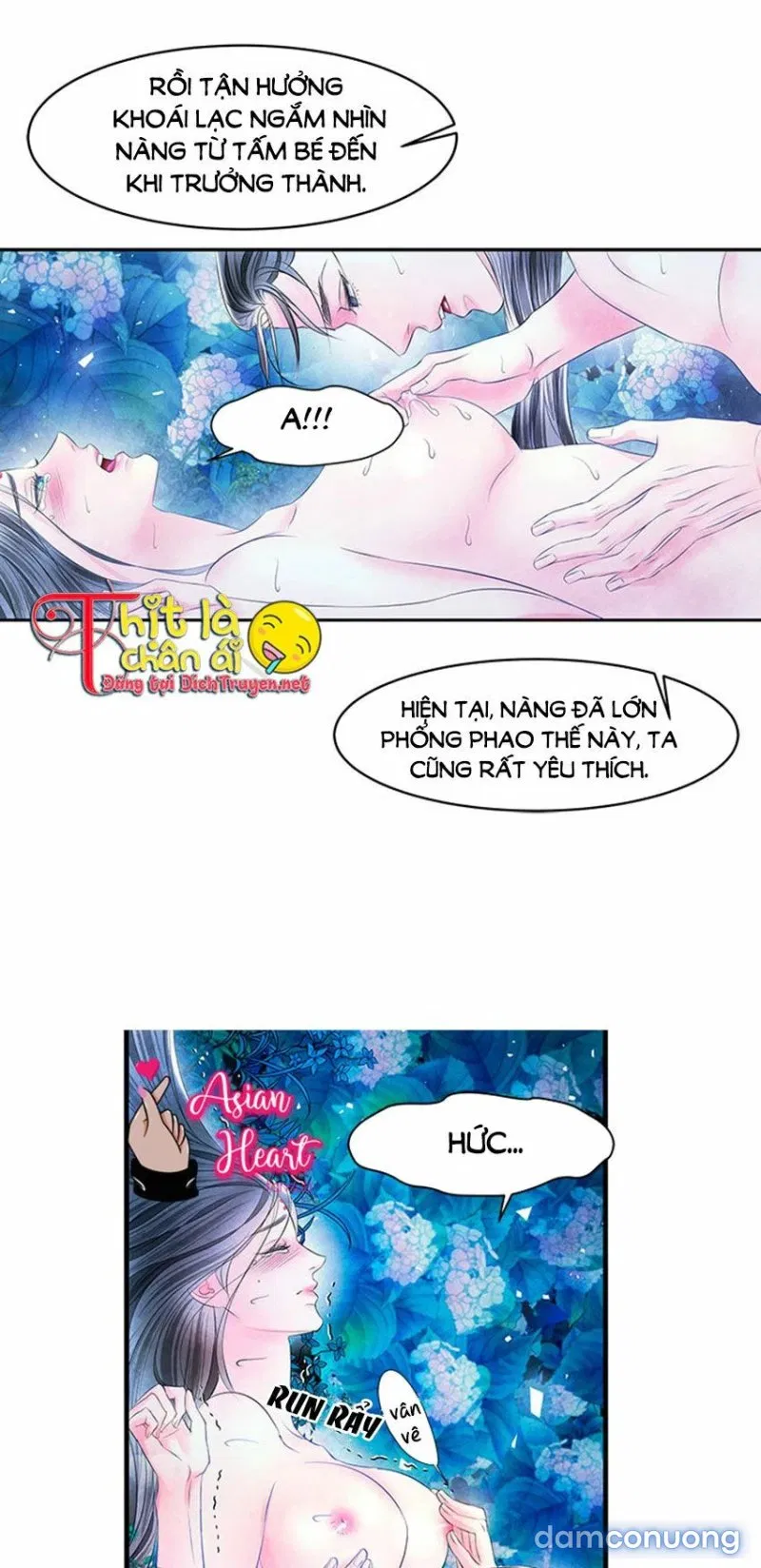 Đêm Thác Loạn (Đêm Dục Vọng) 