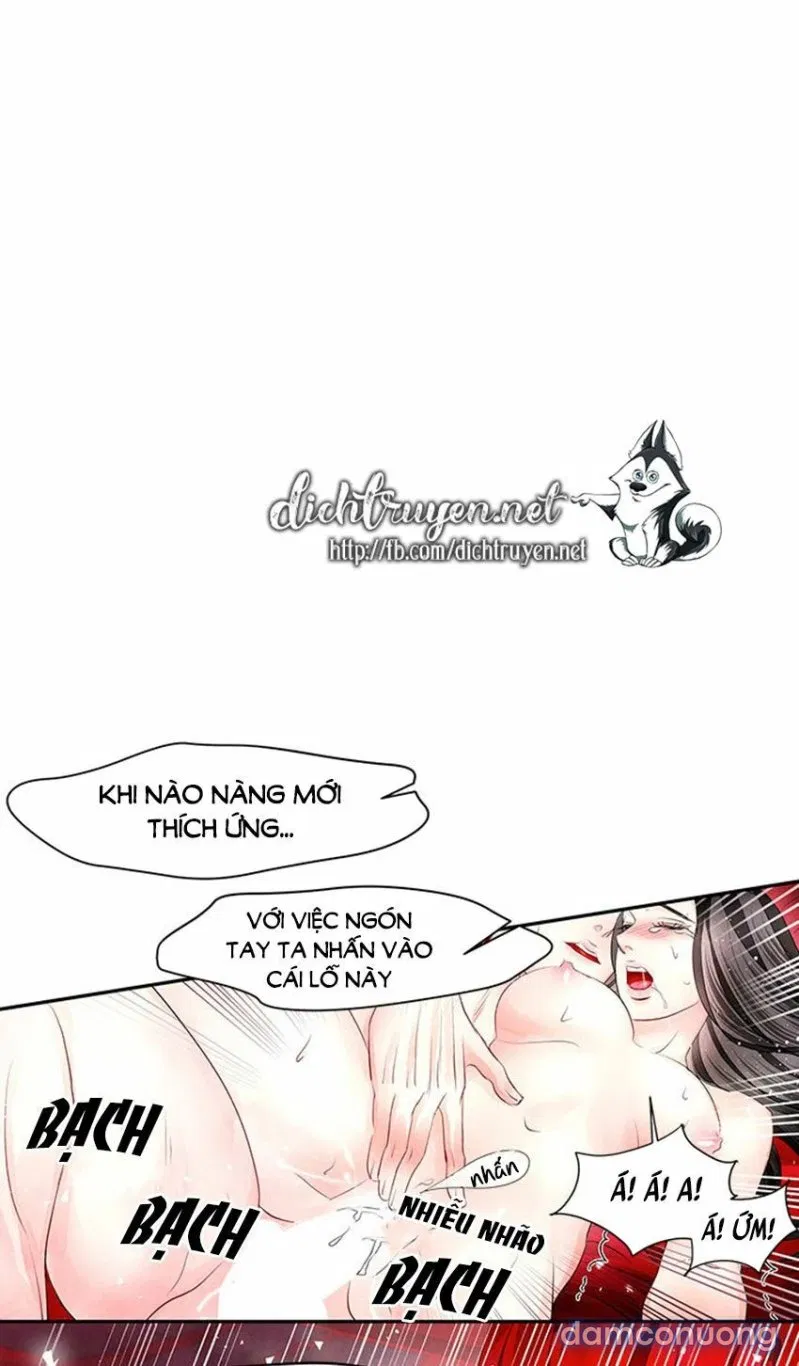 Đêm Thác Loạn (Đêm Dục Vọng) 