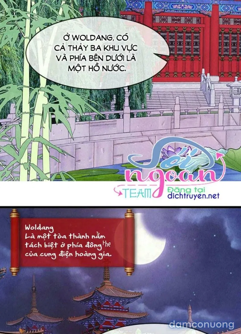 Đêm Thác Loạn (Đêm Dục Vọng) 
