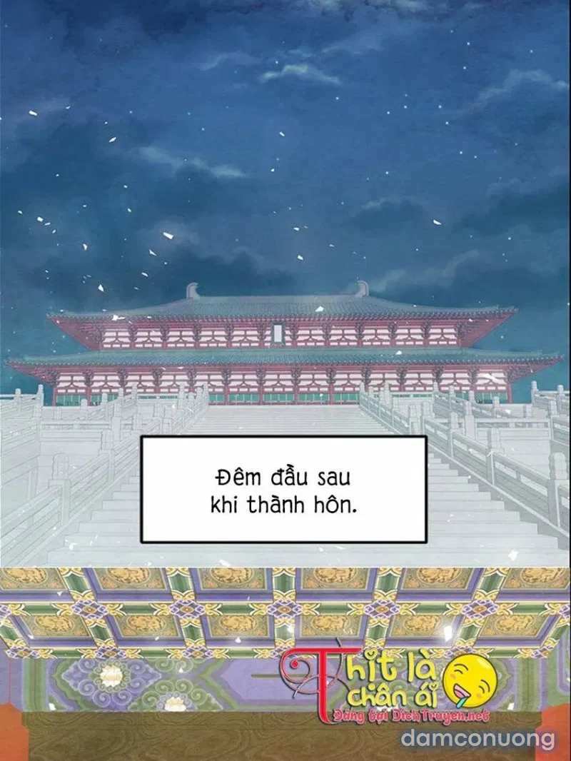 Đêm Thác Loạn (Đêm Dục Vọng) 
