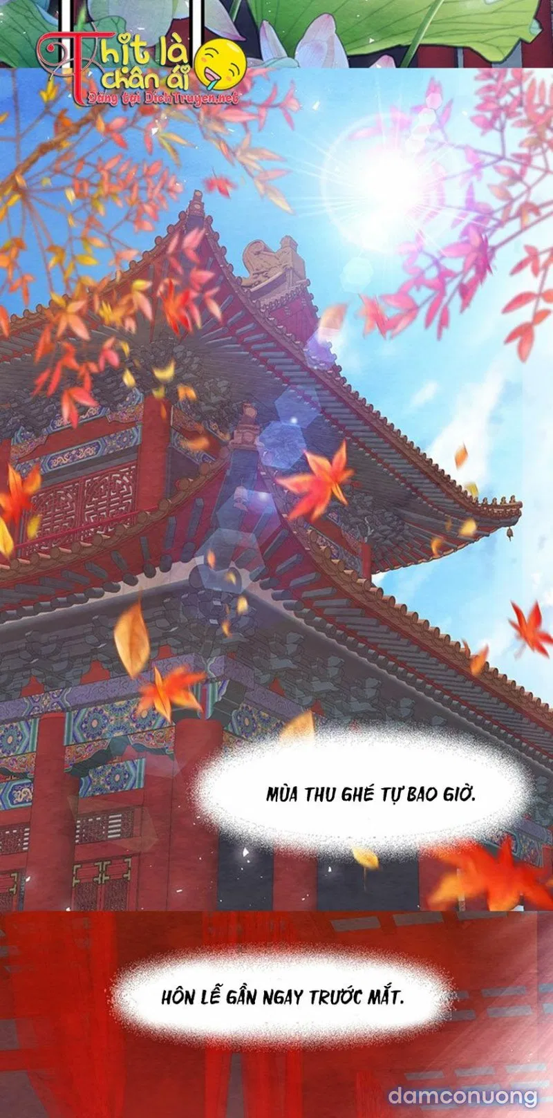 Đêm Thác Loạn (Đêm Dục Vọng) 