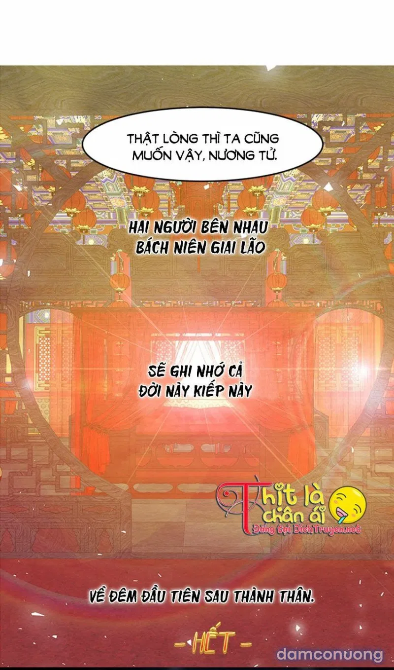 Đêm Thác Loạn (Đêm Dục Vọng) 