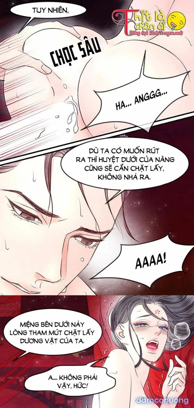 Đêm Thác Loạn (Đêm Dục Vọng) 